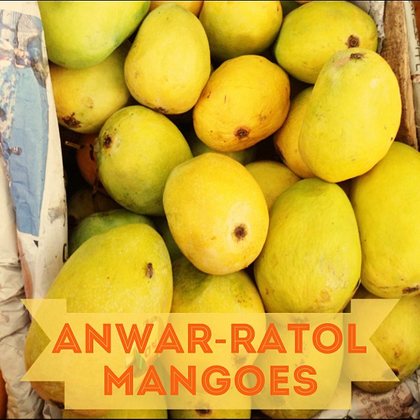Anwar-Ratol Mangoes | iPhoneography | Rana Market, Isloo PAK
