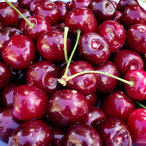 The Best Cherries In The World ! | Lemak Berkrim Disukai Ramai | Rakaposhi Base Camp View | Hunza Nagar | Hunza Valley | Karakoram Highway | Gilgit-Baltistan, Northern Pakistan
