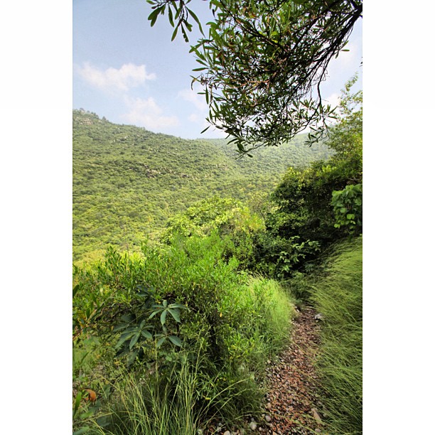 Path to Nowhere | Merdeka Day Hiking | Trail 5 & 6 | Dara #Janglan | Monsoon Season + Stream Full of Water Everywhere | #Margalla Hill National Park | Sesat Barat Ke Trail 6 | iPhoneography | #Islamabad, Pakistan