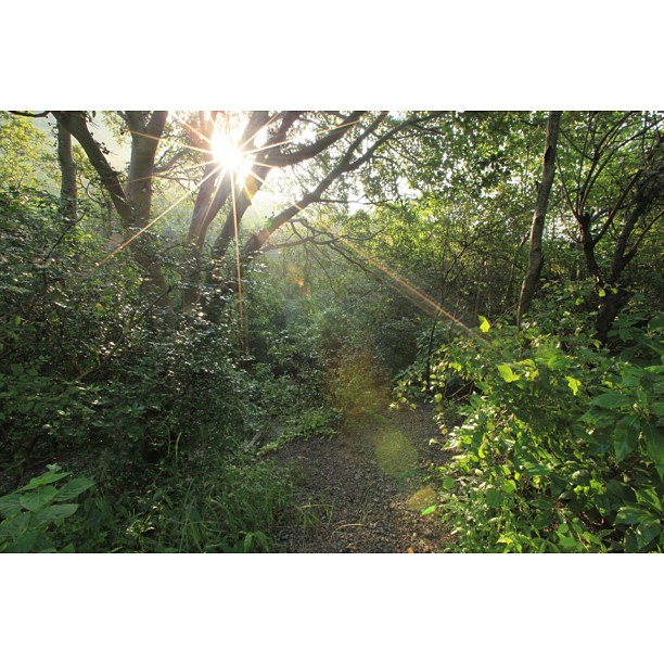 Morning Light | Merdeka Day Hiking | Trail 5 & 6 | Dara #Janglan | Monsoon Season + Stream Full of Water Everywhere | #Margalla Hill National Park | Sesat Barat Ke Trail 6 | iPhoneography | #Islamabad, Pakistan