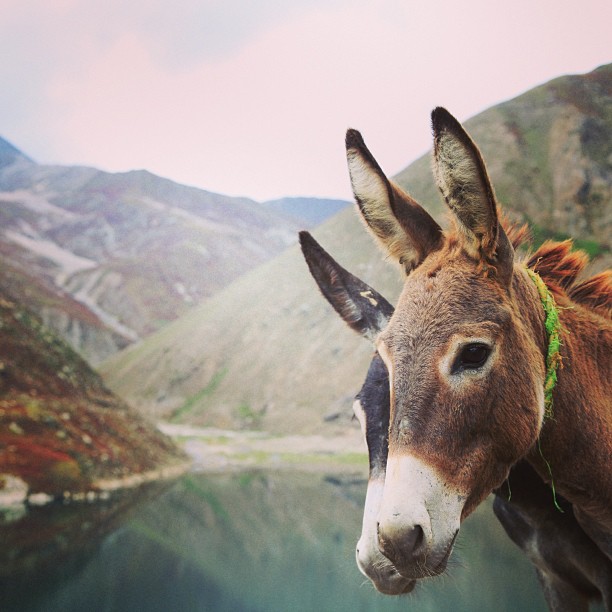 #Eh Hai ! | #EnterFrame | Lulusar Lake, Kaghan Valley | Khyber Pakhtoonkhwa Province PAK