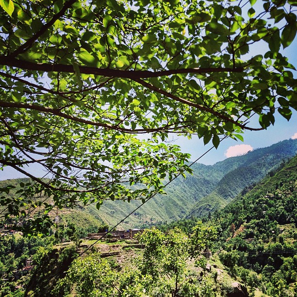 Lihatlah Sekitar Alam, Dunia Luas Terbentang. Langit Tinggi Kebiruan, Pohon-Pohon Kehijauan. Lembut Sang Bayu Yang Menyegarkan | Battagram | Road Less Travelled | Karakoram Highway | Khyber Pakhtoonkhwa Province, Pakistan