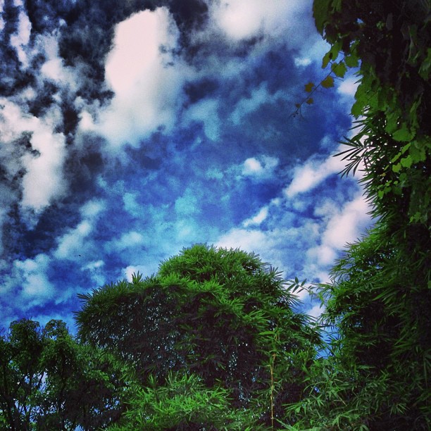 Awan Gemawan Hati Tertawan | Di Pohon Bambu Rileks Beradu | #Islamabad, Pakistan
