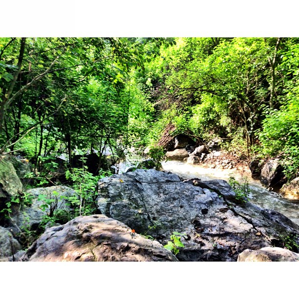 Kalau Sampai Kuala Kubu, Tulis Nama Atas Batu | Merdeka Day Hiking | Trail 5 & 6 | Dara #Janglan | Monsoon Season + Stream Full of Water Everywhere | #Margalla Hill National Park | Sesat Barat Ke Trail 6 | iPhoneography | #Islamabad, Pakistan