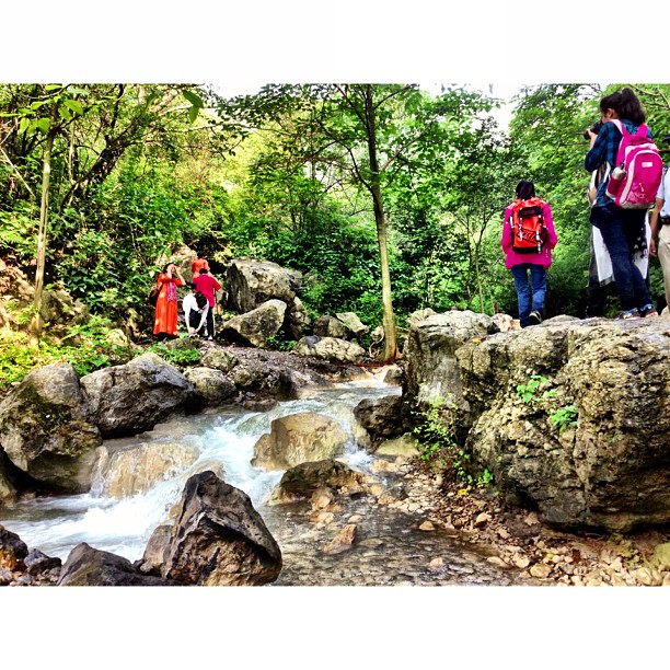 Ramai Juga Trekking Pagi Ni | Merdeka Day Hiking | Trail 5 & 6 | Dara #Janglan | Monsoon Season + Stream Full of Water Everywhere | #Margalla Hill National Park | Sesat Barat Ke Trail 6 | iPhoneography | #Islamabad, Pakistan