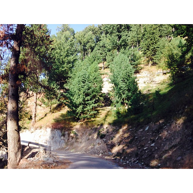 Paved Road to #PineParkResort | #Shogran | #Autumn2013 | iPhoneography | #KarakoramHighway |  #KhyberPakhtunkhwa Province, Pakistan