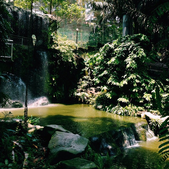 Waterfall Aviary | KL Bird Park | Near Perdana Lake Garden | Kuala Lumpur | Malaysia